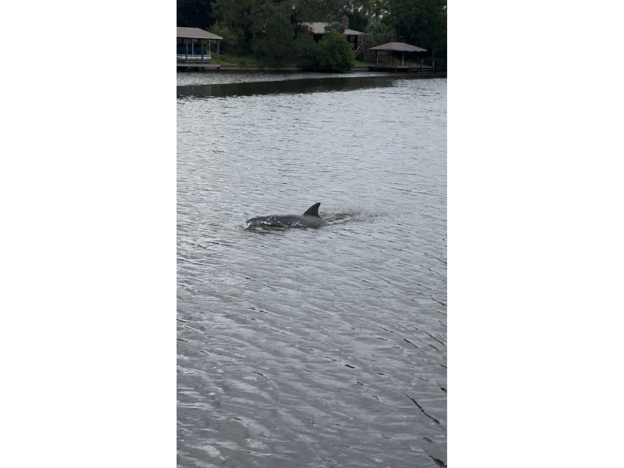 23 Commander Court Palm Coast FL 32137 FC319654 image32