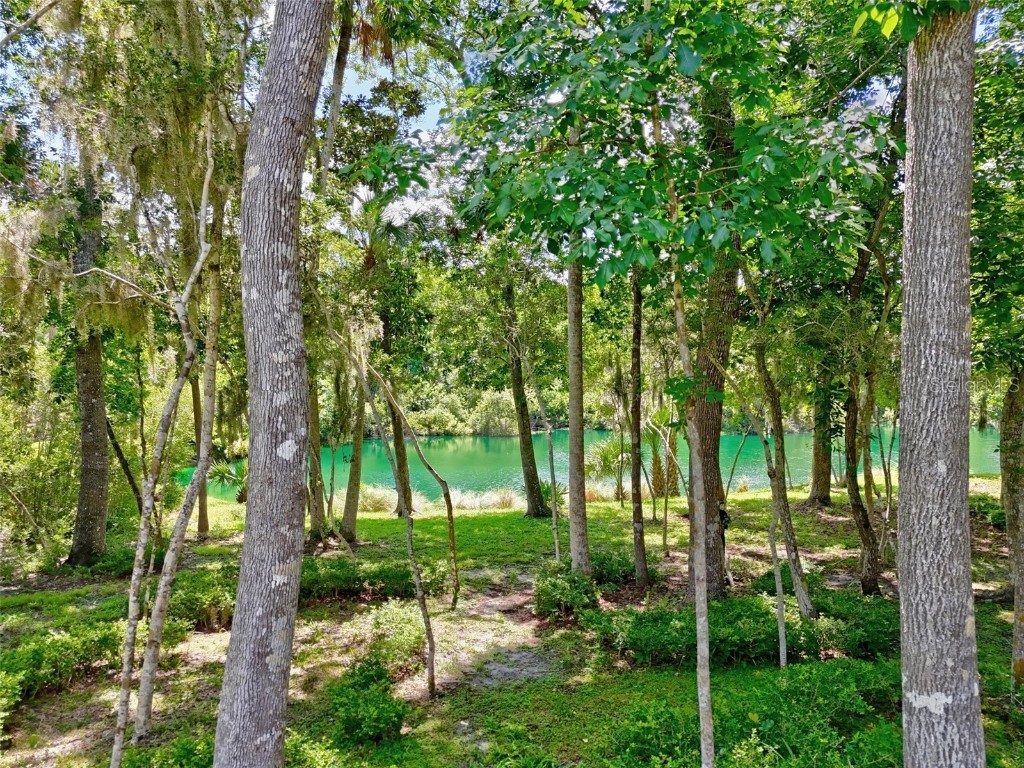 23 Creekside Drive Palm Coast FL 32137 FC311160 image5