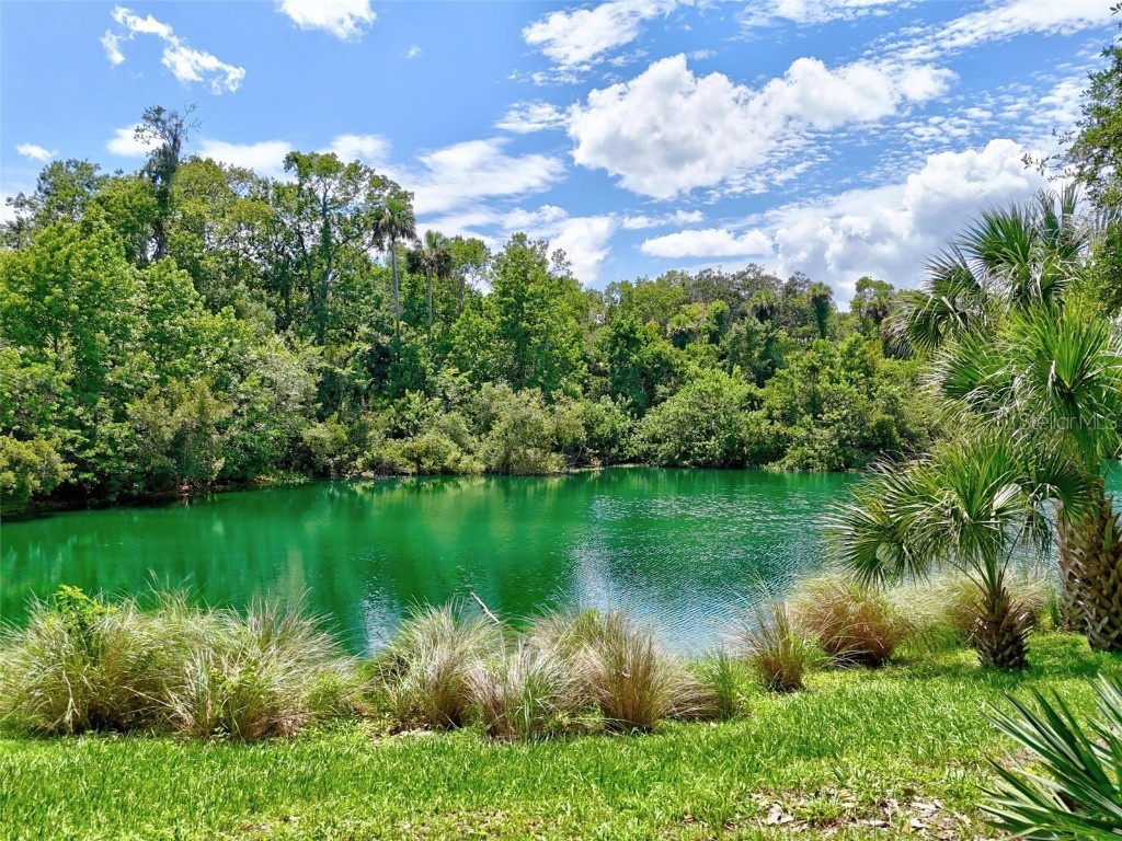 23 Creekside Drive Palm Coast FL 32137 FC311160 image50