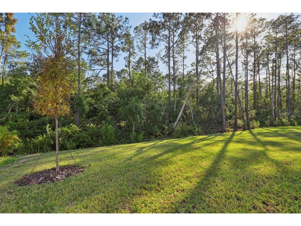 23 Dilly Court Palm Coast FL 32164 O6320773 image22