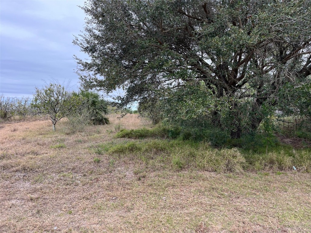 23 Ekhoff Lane Lake Placid FL 33852 C7470496 image1