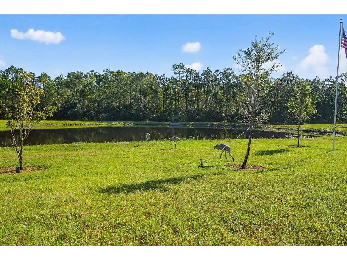 23 Fawn Haven Trail Ormond Beach FL 32174 FC313604 image34