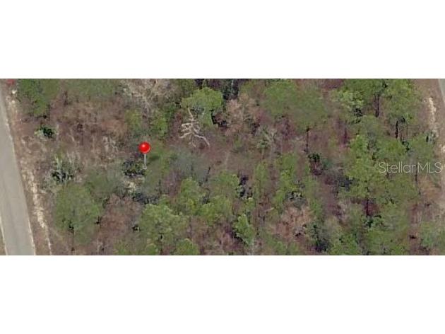 23 Fisher Lane Terrace Ocklawaha FL 32179 OM726728 image1