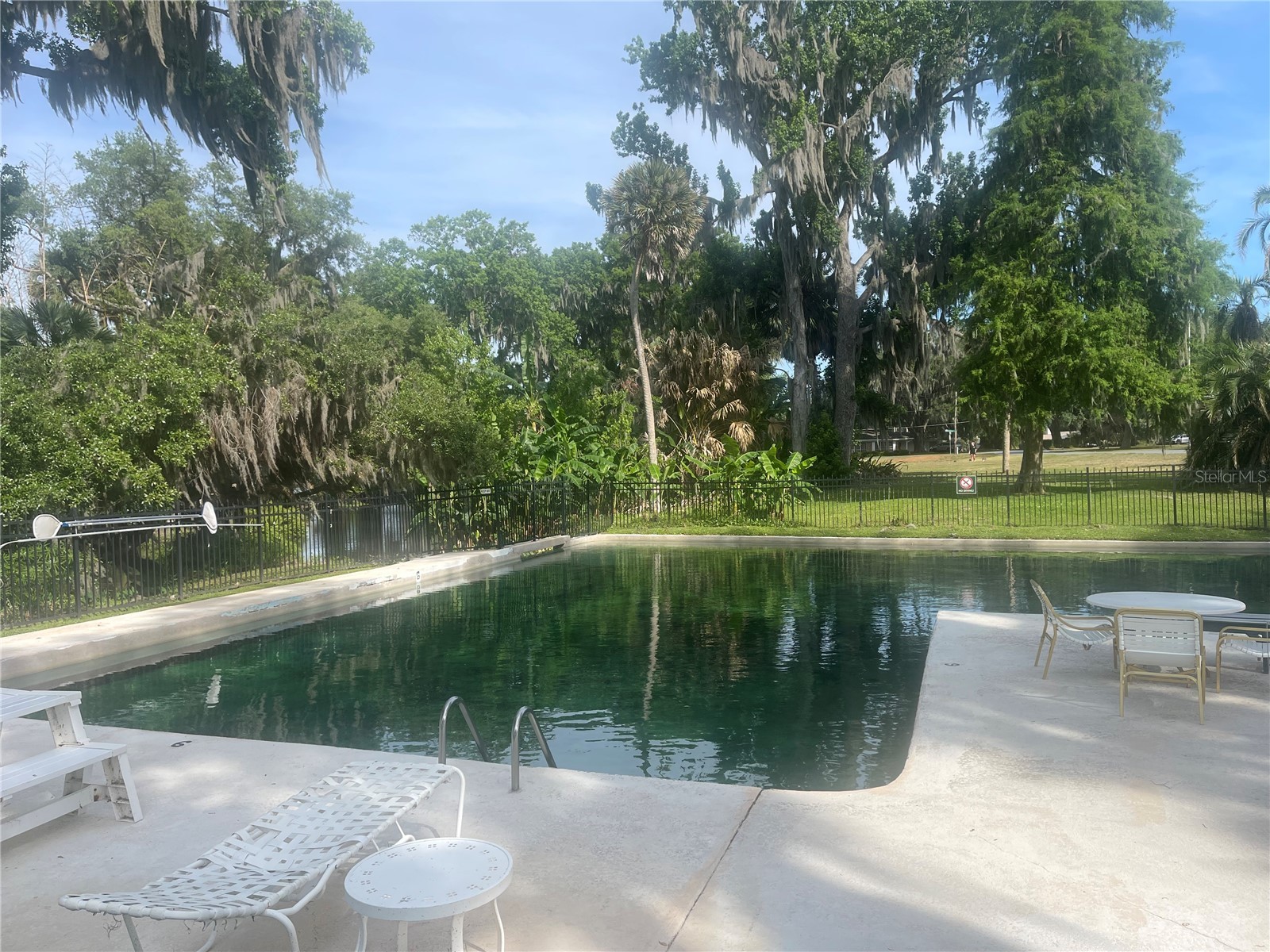 23 Lonesome Pine Trail Yalaha FL 34797 - LAKE HARRIS O6405475 image34