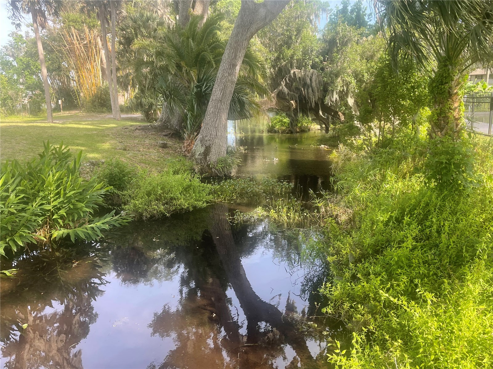 23 Lonesome Pine Trail Yalaha FL 34797 - LAKE HARRIS O6405475 image35