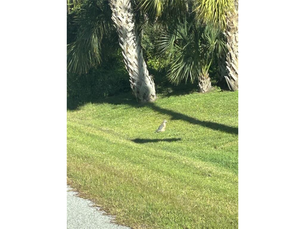 23 Mooring Place Placida FL 33946 D6145016 image1