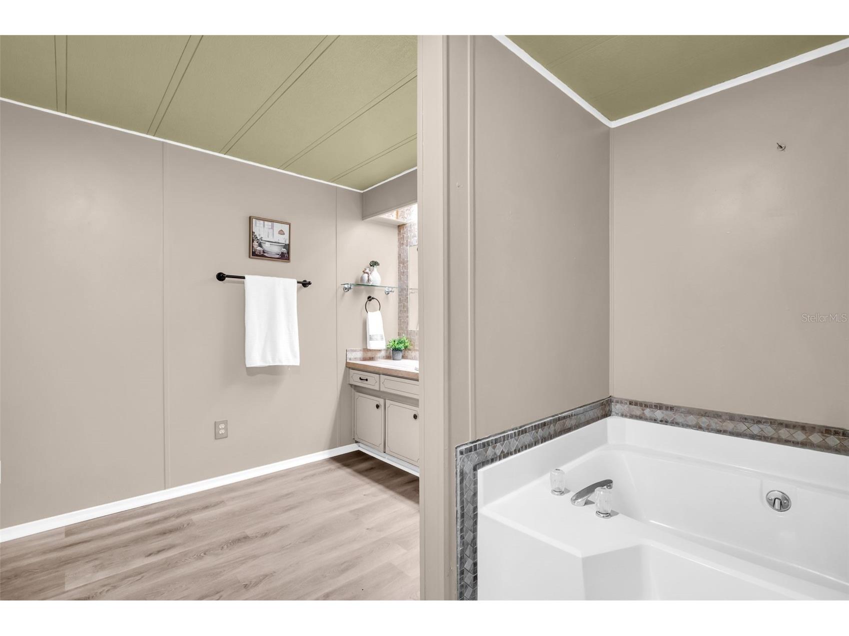 23 Mountain Laurel Drive Palm Harbor FL 34684 TB8490077 image28