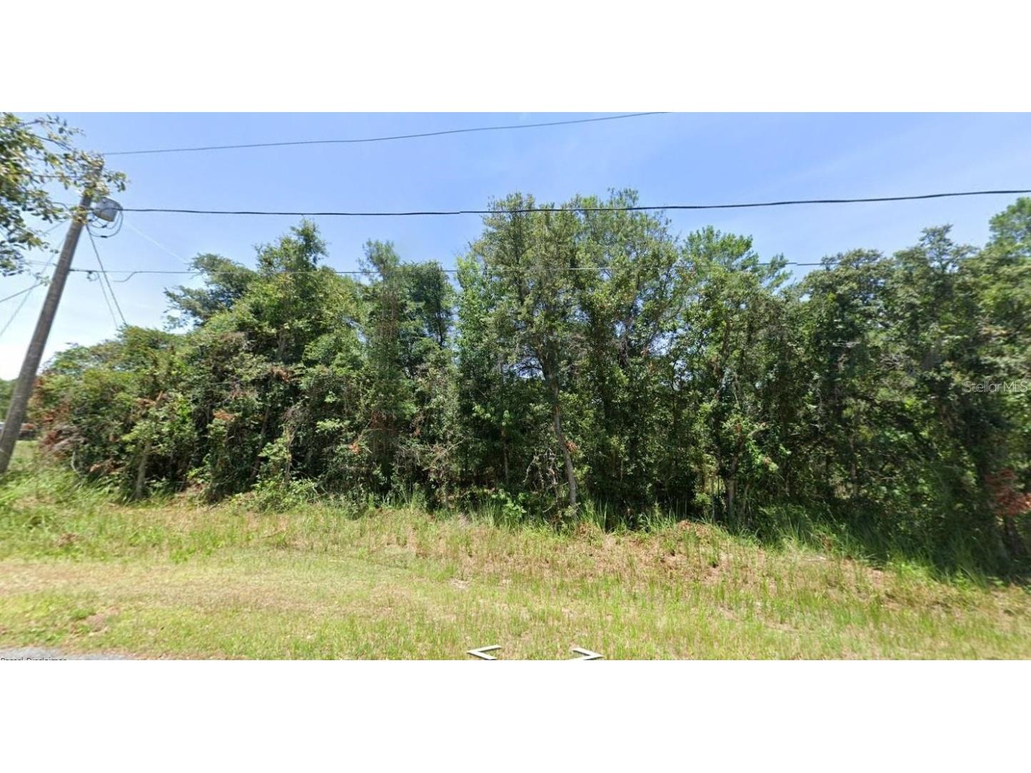 23 Olive Drive Ocala FL 34472 O6273462 image1