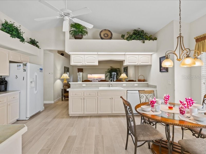 23 Pine Valley Court Rotonda West FL 33947 D6142704 image15