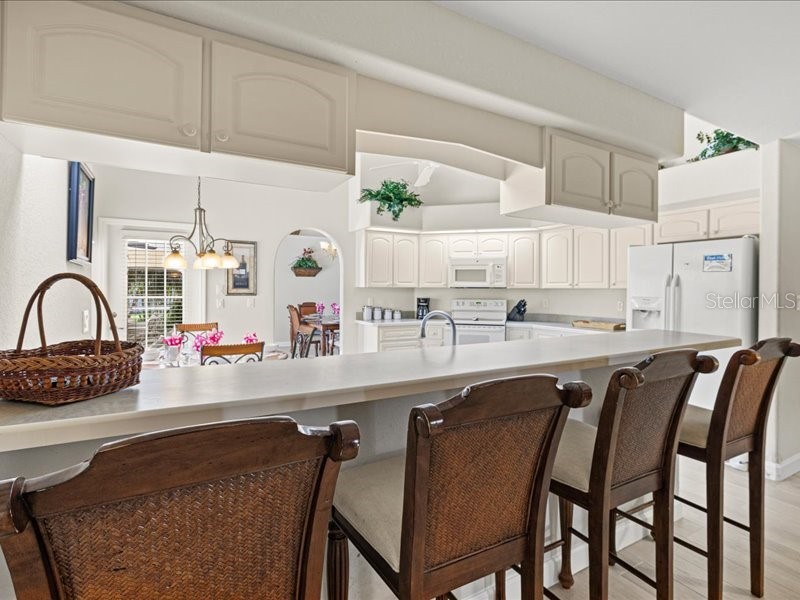 23 Pine Valley Court Rotonda West FL 33947 D6142704 image22