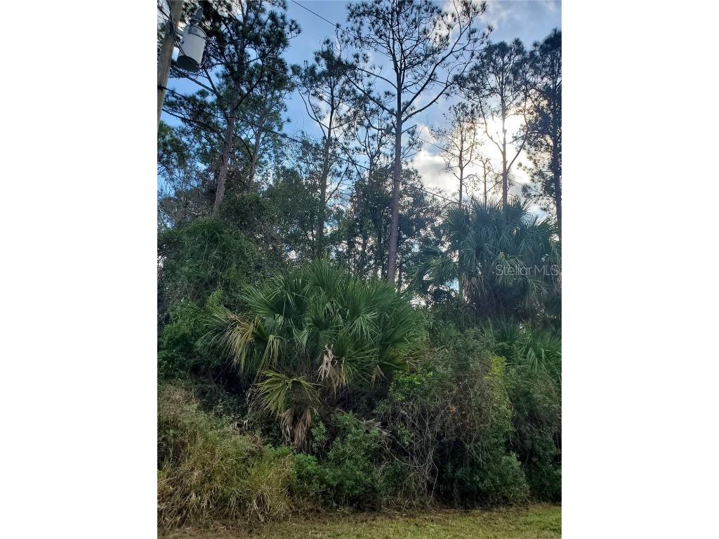 23 Pineland Lane Palm Coast FL 32164 FC307247 image1