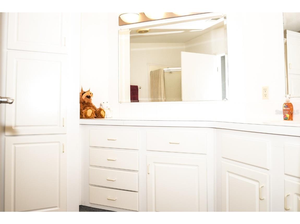 23 Queen Of Waters Street Lake Wales FL 33898 L4951068 image14