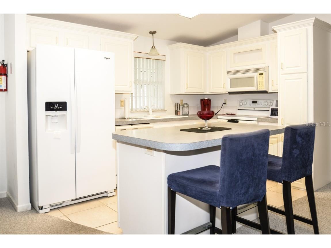 23 Queen Of Waters Street Lake Wales FL 33898 L4951068 image5