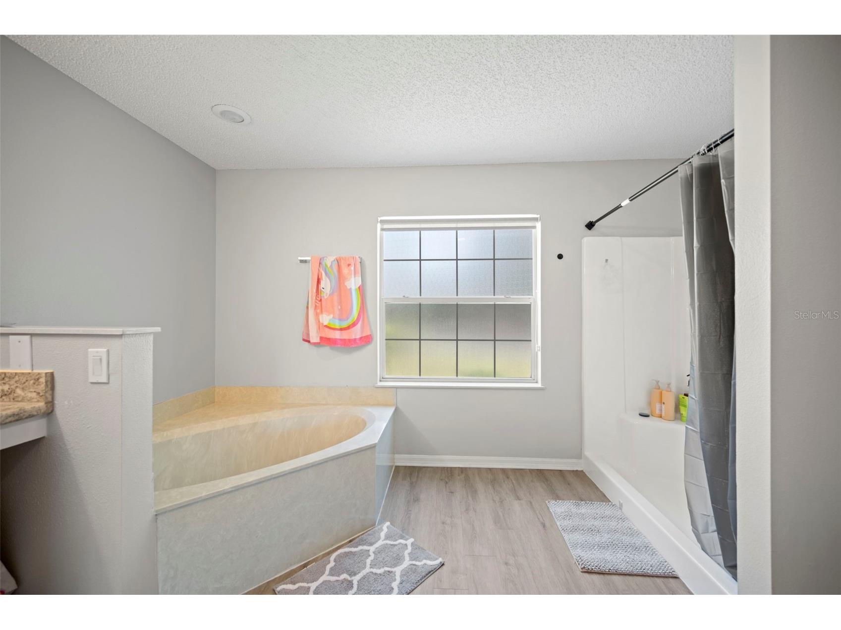 23 Ryecrest Lane Palm Coast FL 32164 FC316310 image16