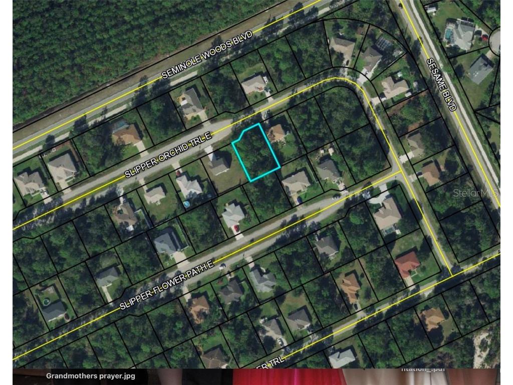 23 Slipper Orchid Trail E Palm Coast FL 32164 FC299282 image1