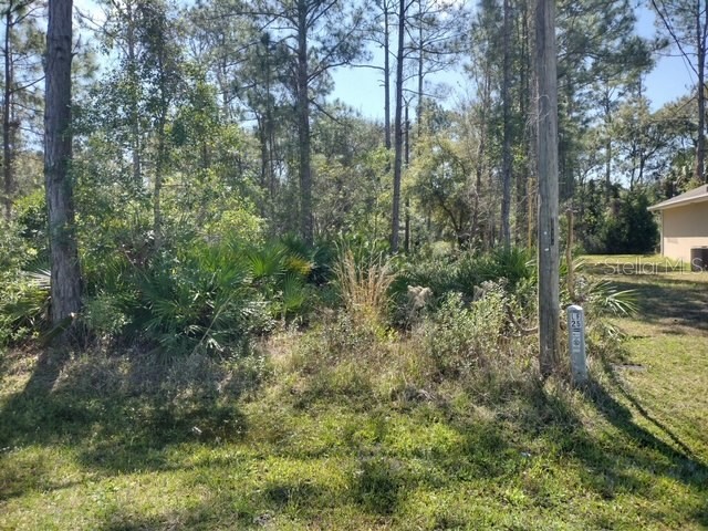 23 Slumber Meadow Trail Palm Coast FL 32164 FC293522 image1