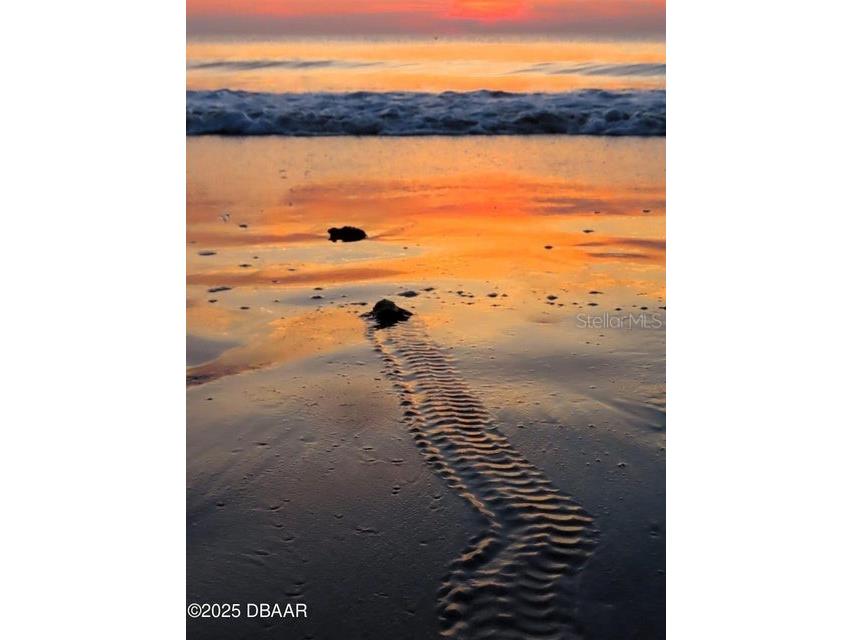 23 Sunrise Avenue Ormond Beach FL 32176 - ATLANTIC OCEAN&HALIFAX RIVER FC313851 image13