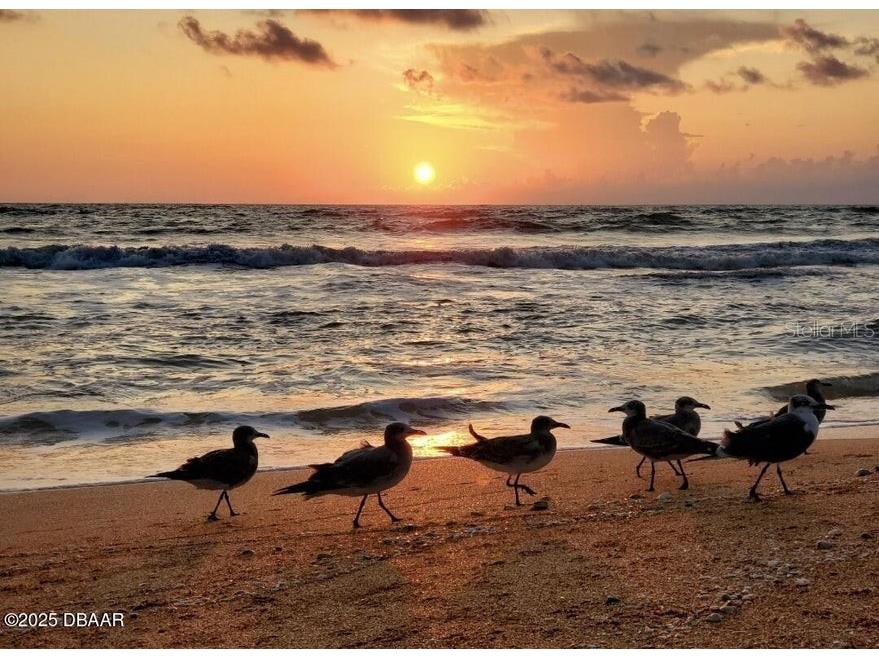 23 Sunrise Avenue Ormond Beach FL 32176 - ATLANTIC OCEAN&HALIFAX RIVER FC313851 image18