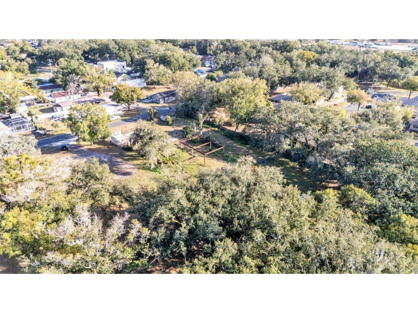 23 Violet Street Plant City FL 33563 L4958255 image12