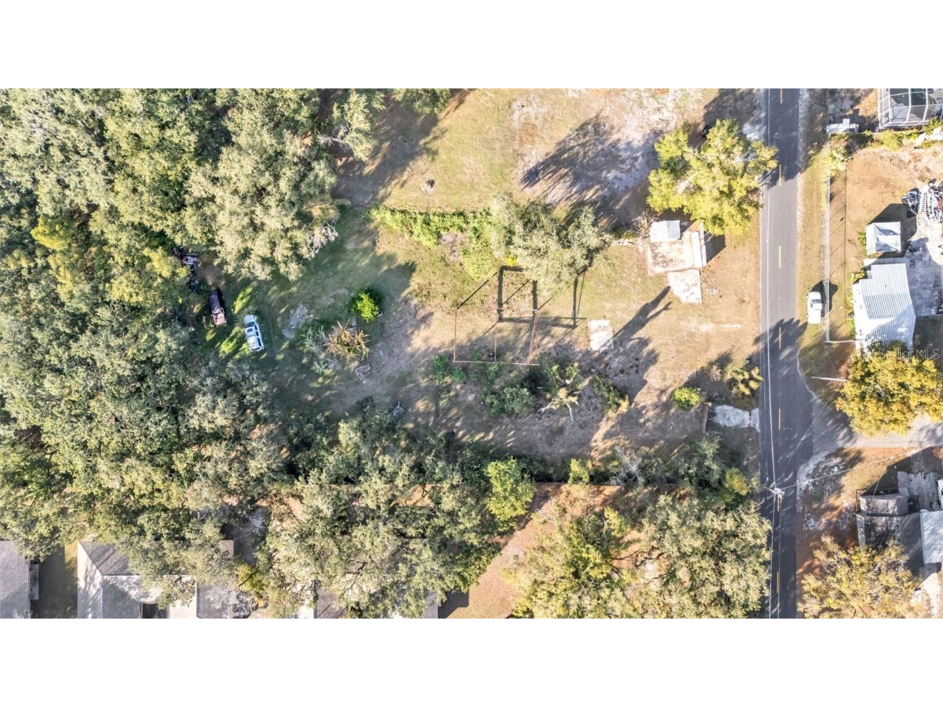 23 Violet Street Plant City FL 33563 L4958255 image13