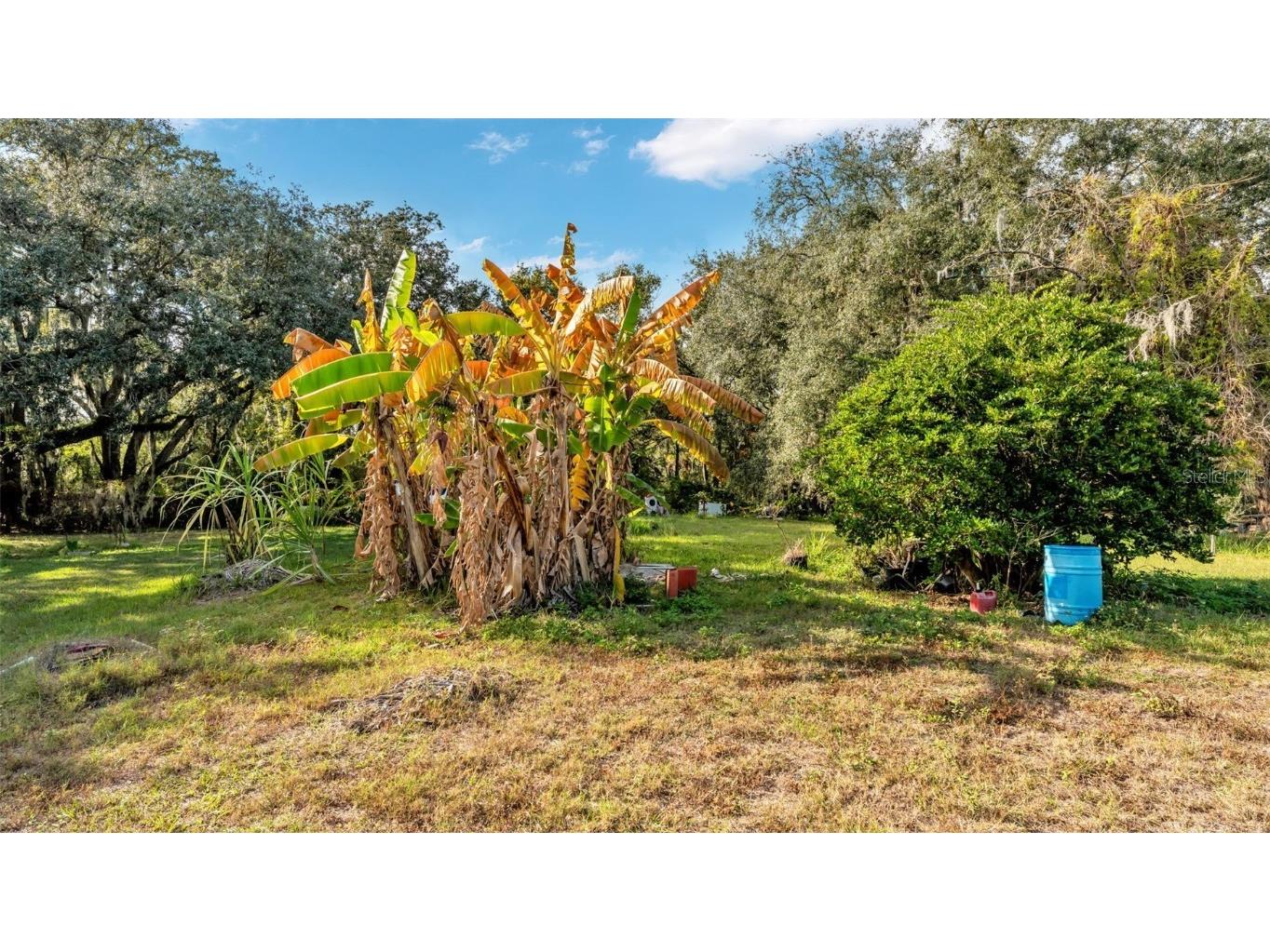 23 Violet Street Plant City FL 33563 L4958255 image5