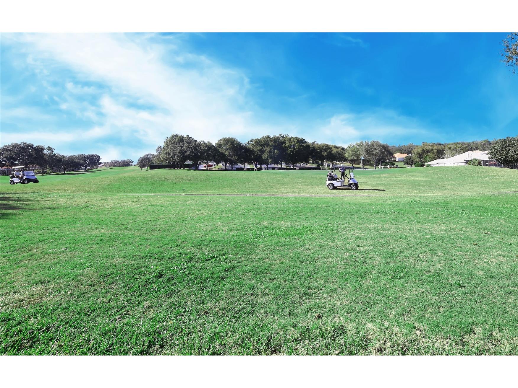 23 W Mickey Mantle Path Hernando FL 34442 OM716914 image29