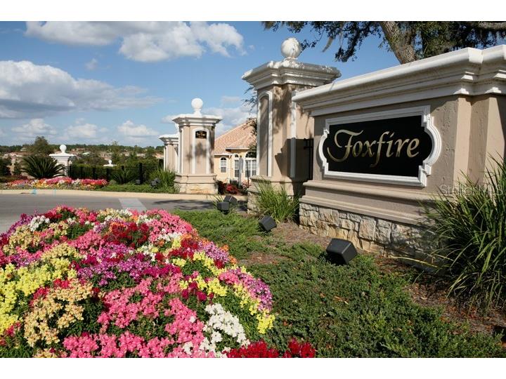 23 W Mickey Mantle Path Hernando FL 34442 OM716914 image37