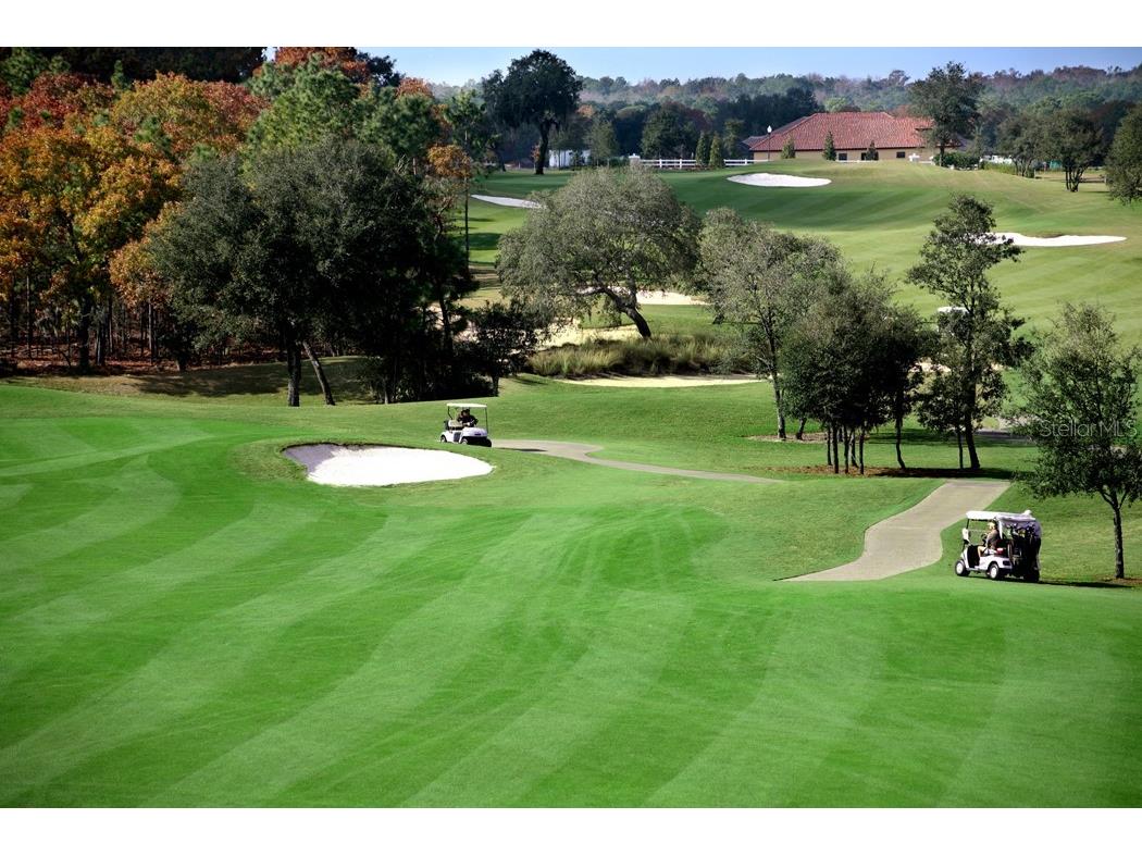 23 W Mickey Mantle Path Hernando FL 34442 OM716914 image49