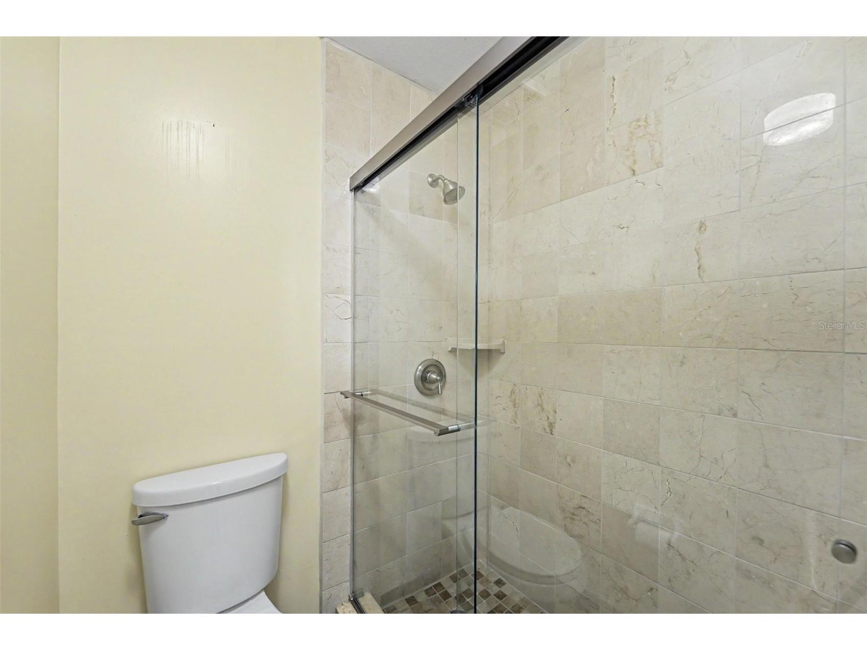 230 Balsam Drive Oldsmar FL 34677 TB8504047 image22