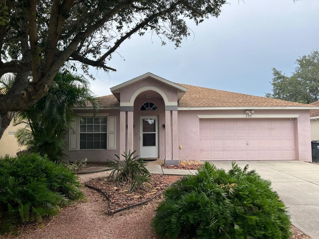 230 Chardonnay Place Valrico FL 33594 T3460439 image1