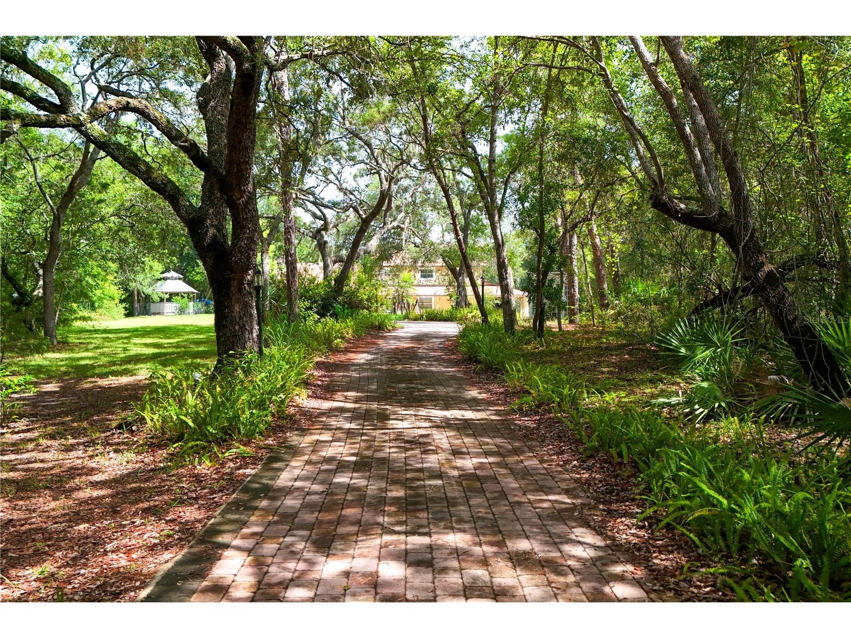 230 E Panama Road Winter Springs FL 32708 O6422435 image5