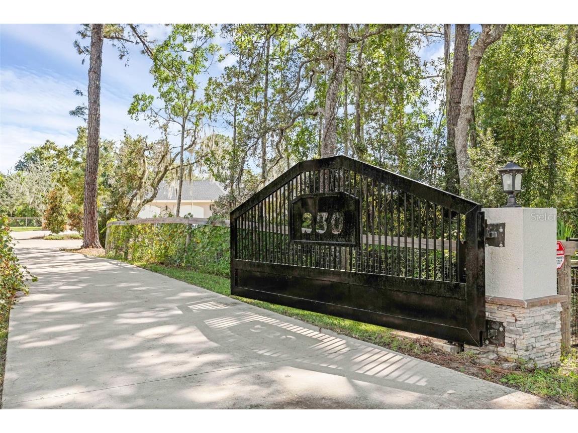 230 Fisher Run Ocklawaha FL 32179 - Bear Lake G5102529 image2