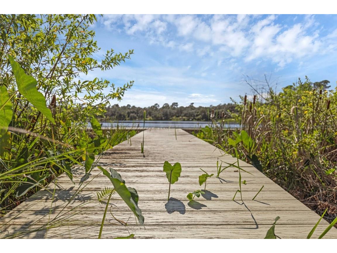 230 Fisher Run Ocklawaha FL 32179 - Bear Lake G5102529 image47