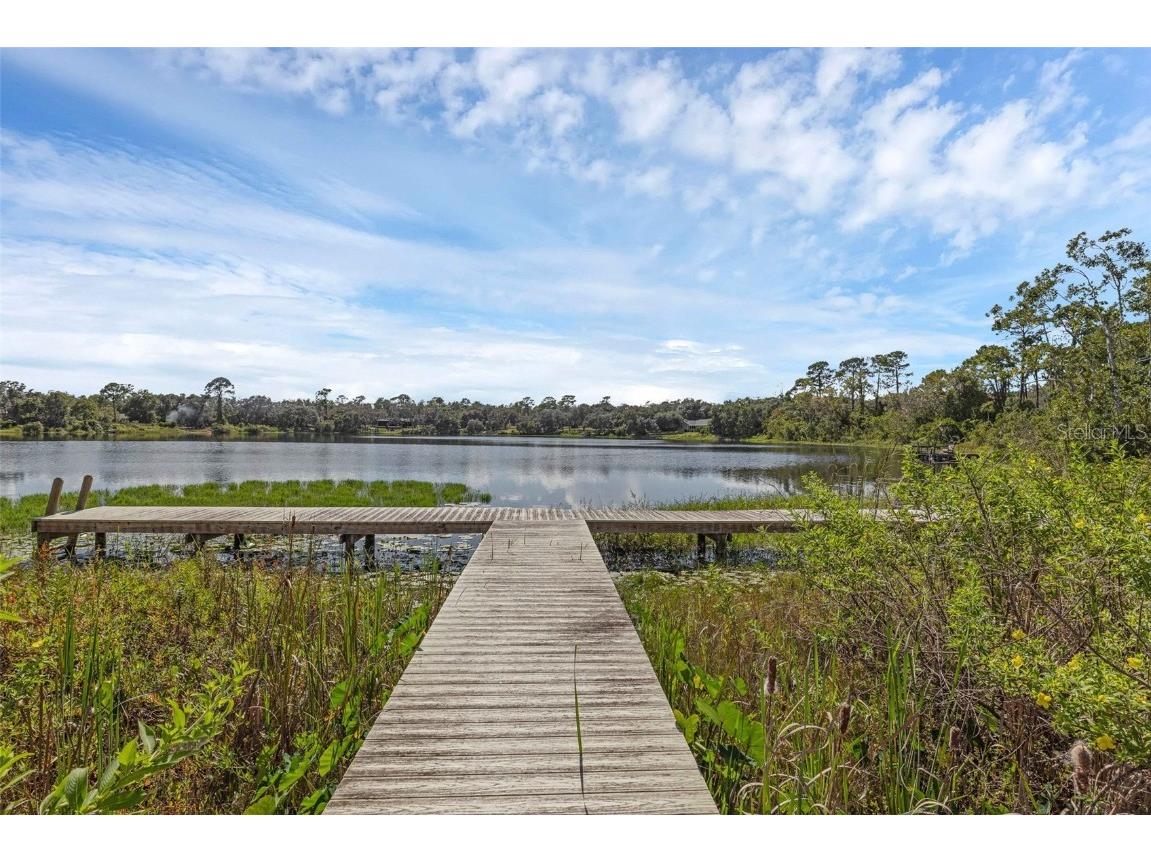 230 Fisher Run Ocklawaha FL 32179 - Bear Lake G5102529 image48