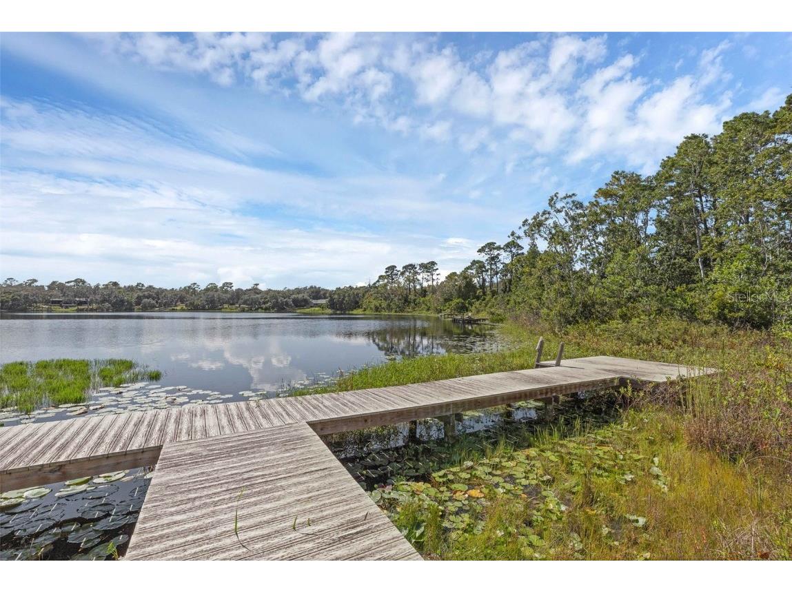 230 Fisher Run Ocklawaha FL 32179 - Bear Lake G5102529 image49