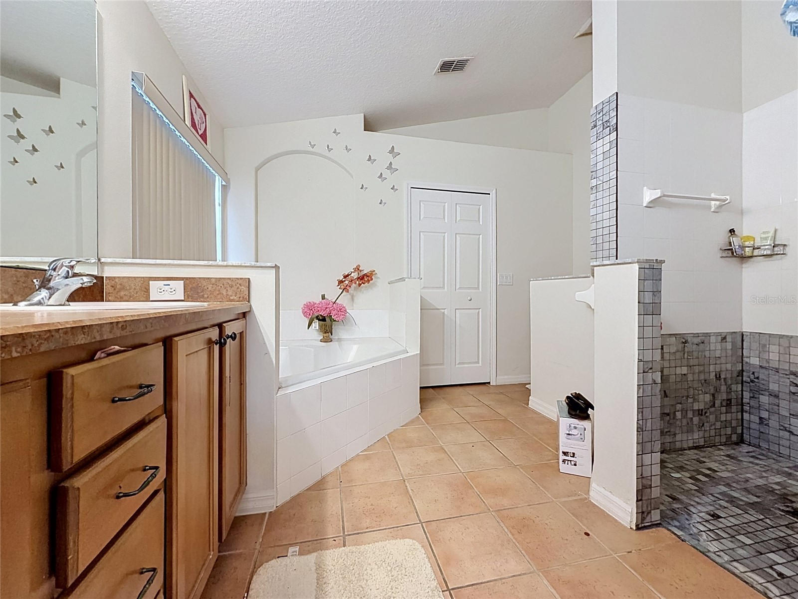 230 Hypolita Avenue Davenport FL 33897 S5150565 image16