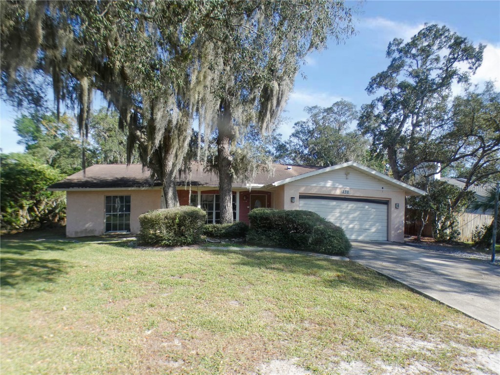 230 Leafy Way Avenue Spring Hill FL 34606 T3490056 image1