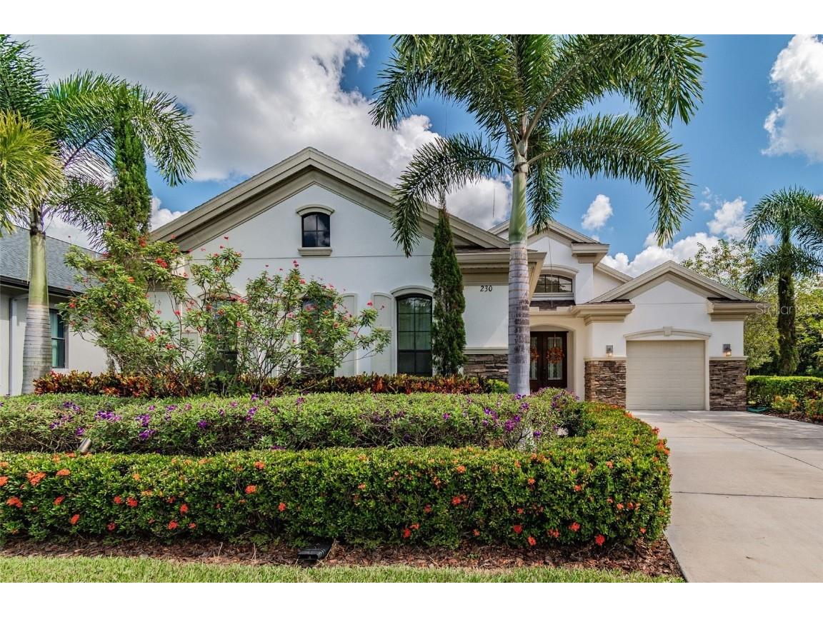230 Lesley Lane Oldsmar FL 34677 T3335244 image1