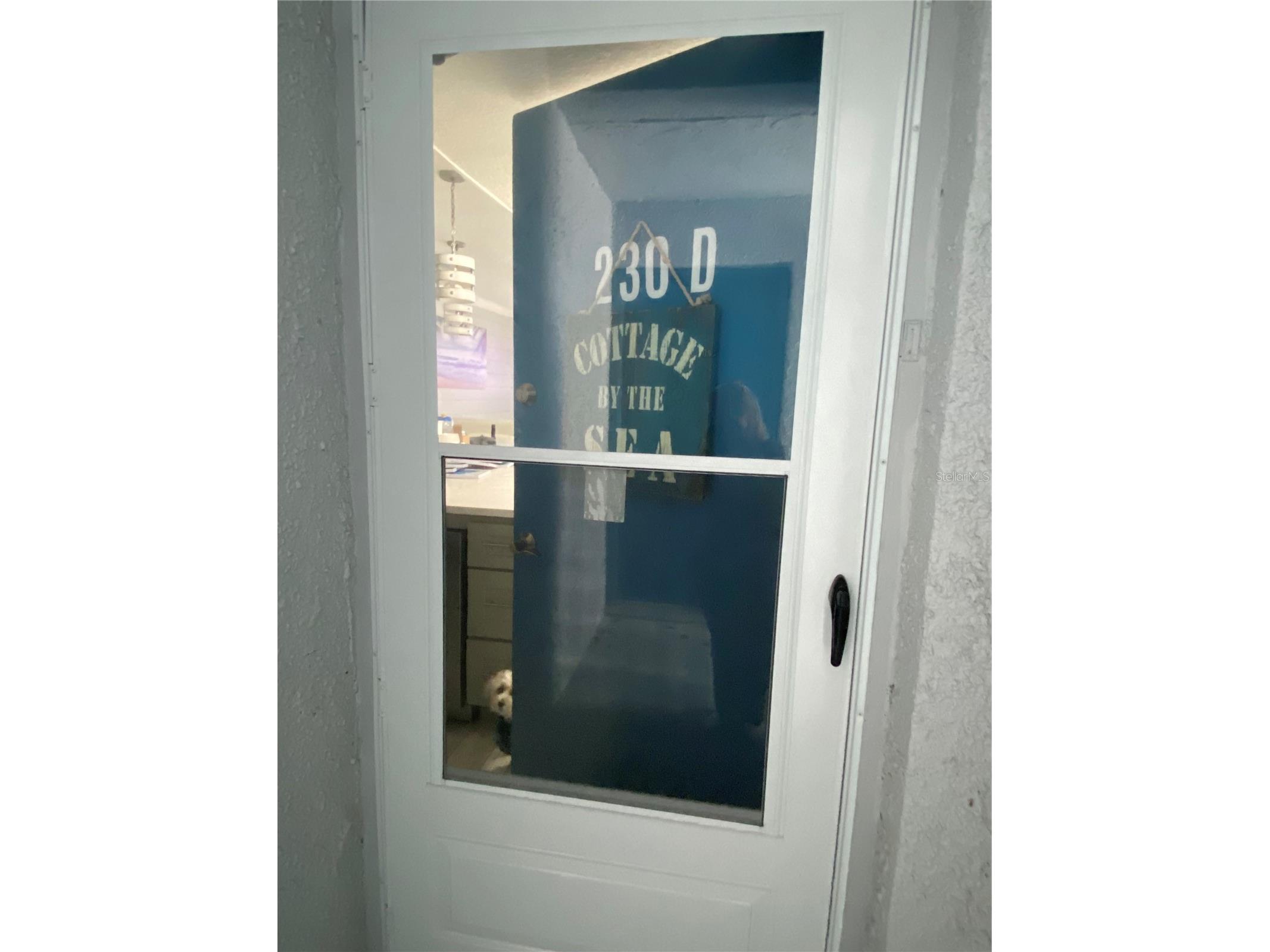 230 Medallion Boulevard #D Madeira Beach FL 33708 TB8515607 image1