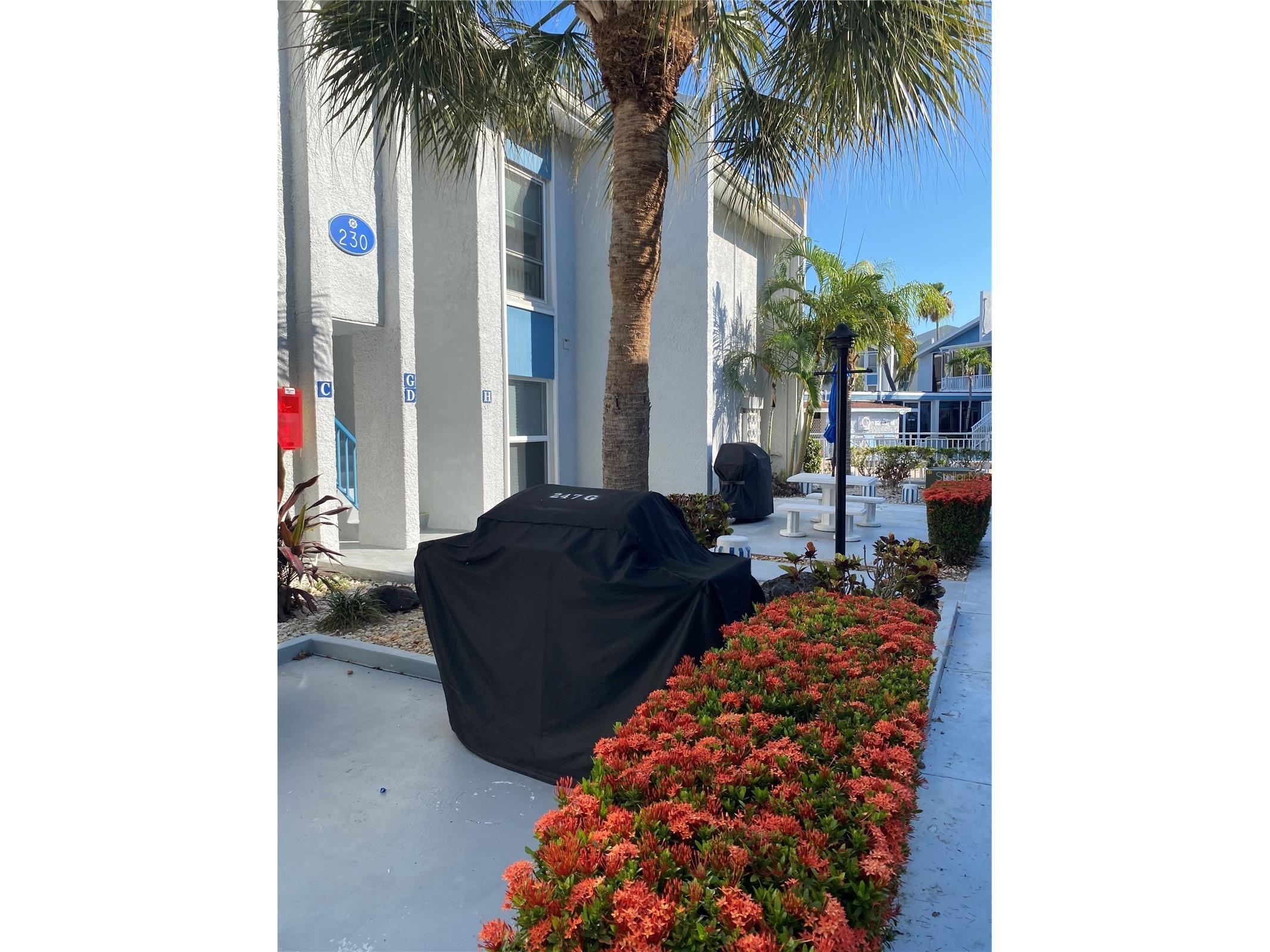 230 Medallion Boulevard #D Madeira Beach FL 33708 TB8515607 image25
