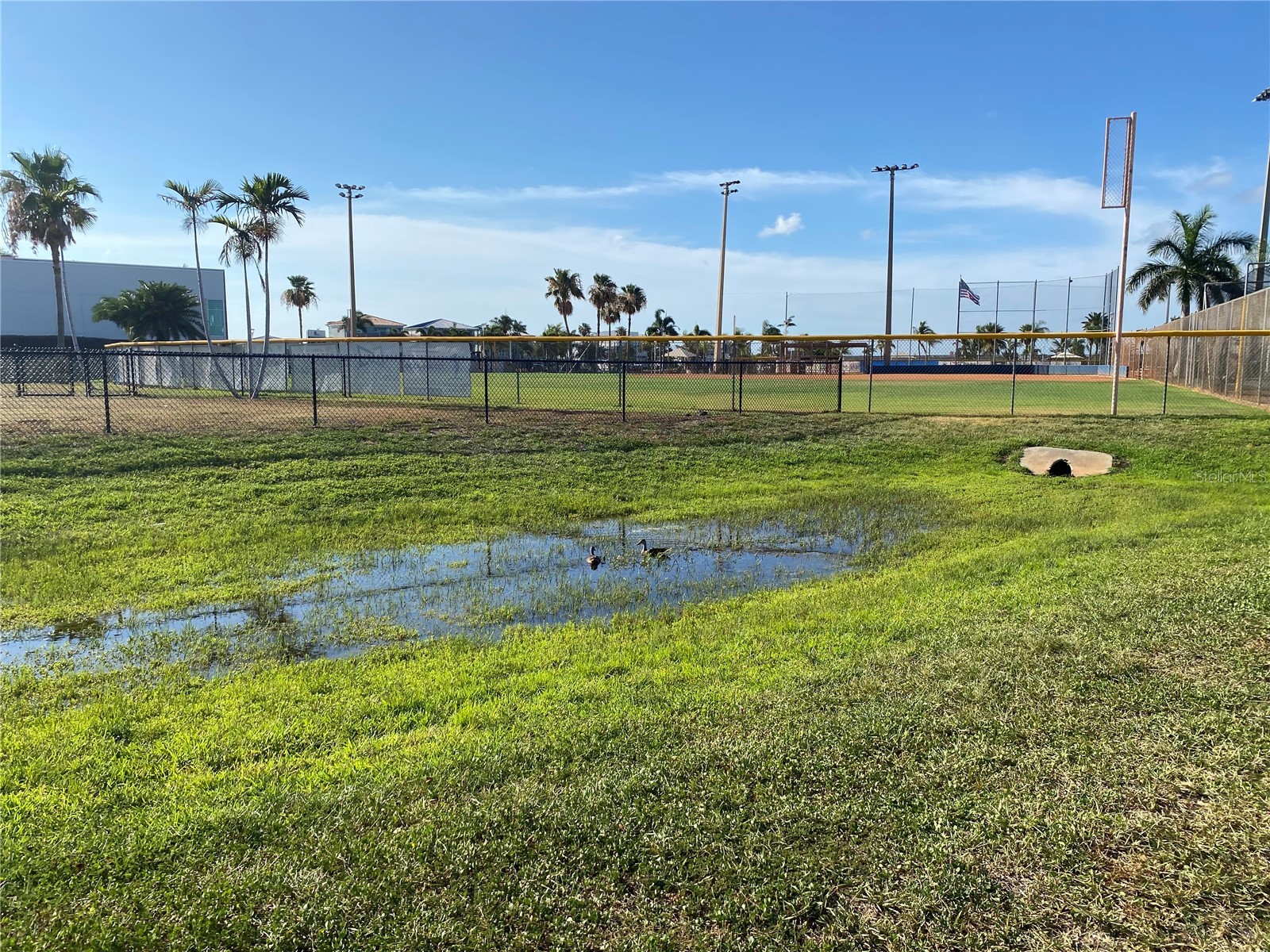 230 Medallion Boulevard #D Madeira Beach FL 33708 TB8515607 image30