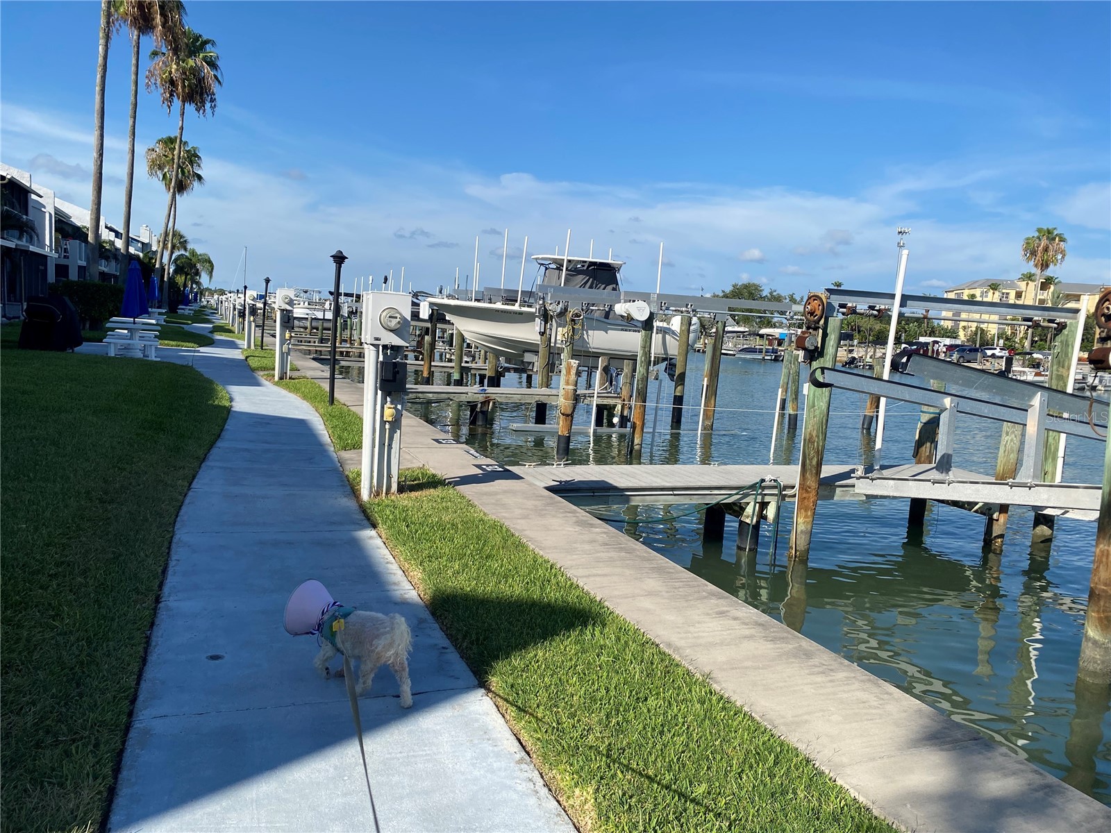 230 Medallion Boulevard #D Madeira Beach FL 33708 TB8515607 image37