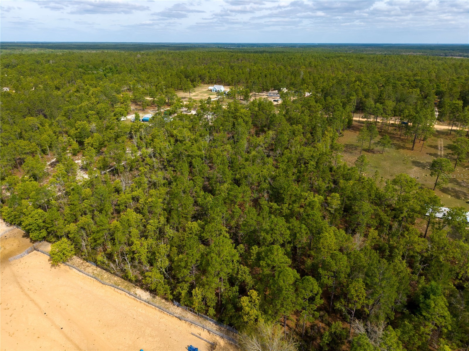 230 Melrose Landing Drive Hawthorne FL 32640 TB8499573 image12