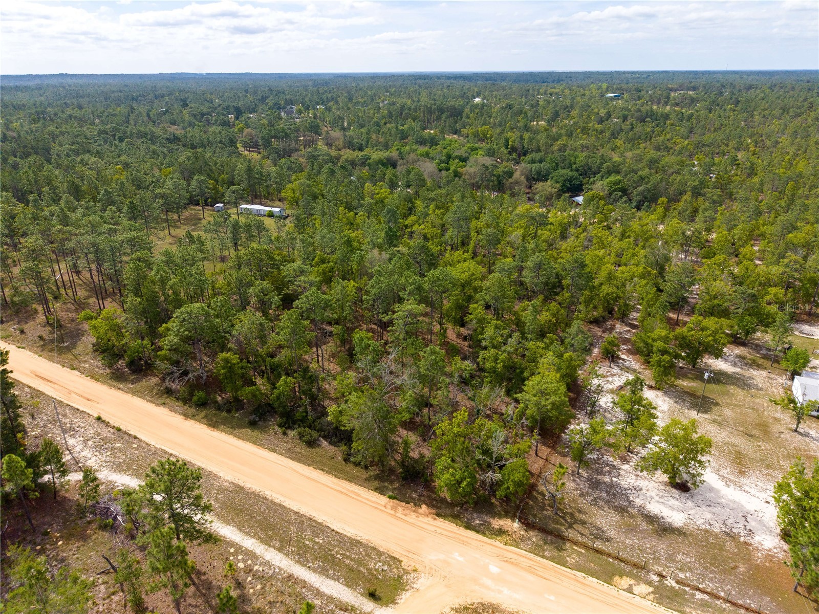 230 Melrose Landing Drive Hawthorne FL 32640 TB8499573 image13