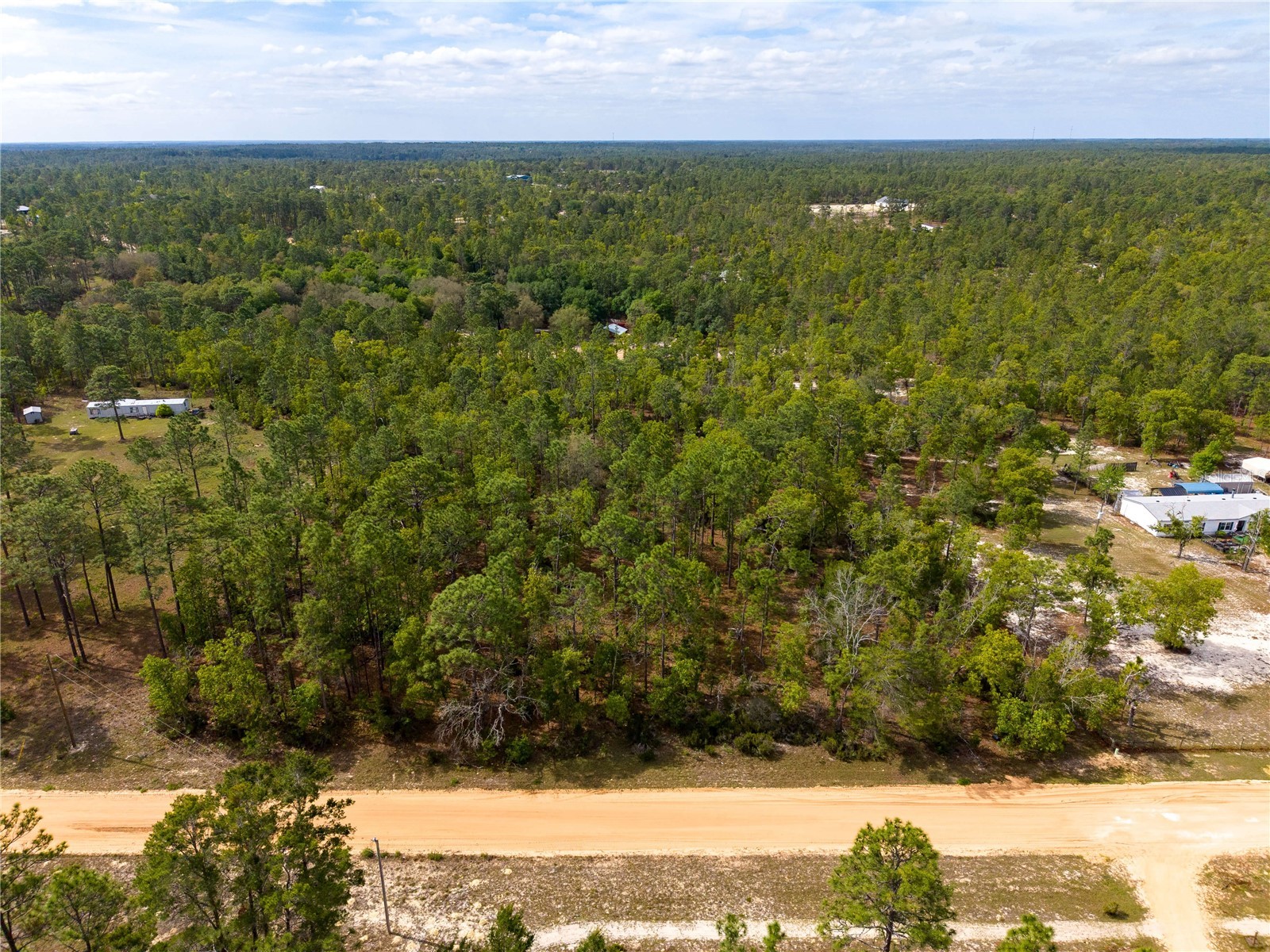 230 Melrose Landing Drive Hawthorne FL 32640 TB8499573 image14