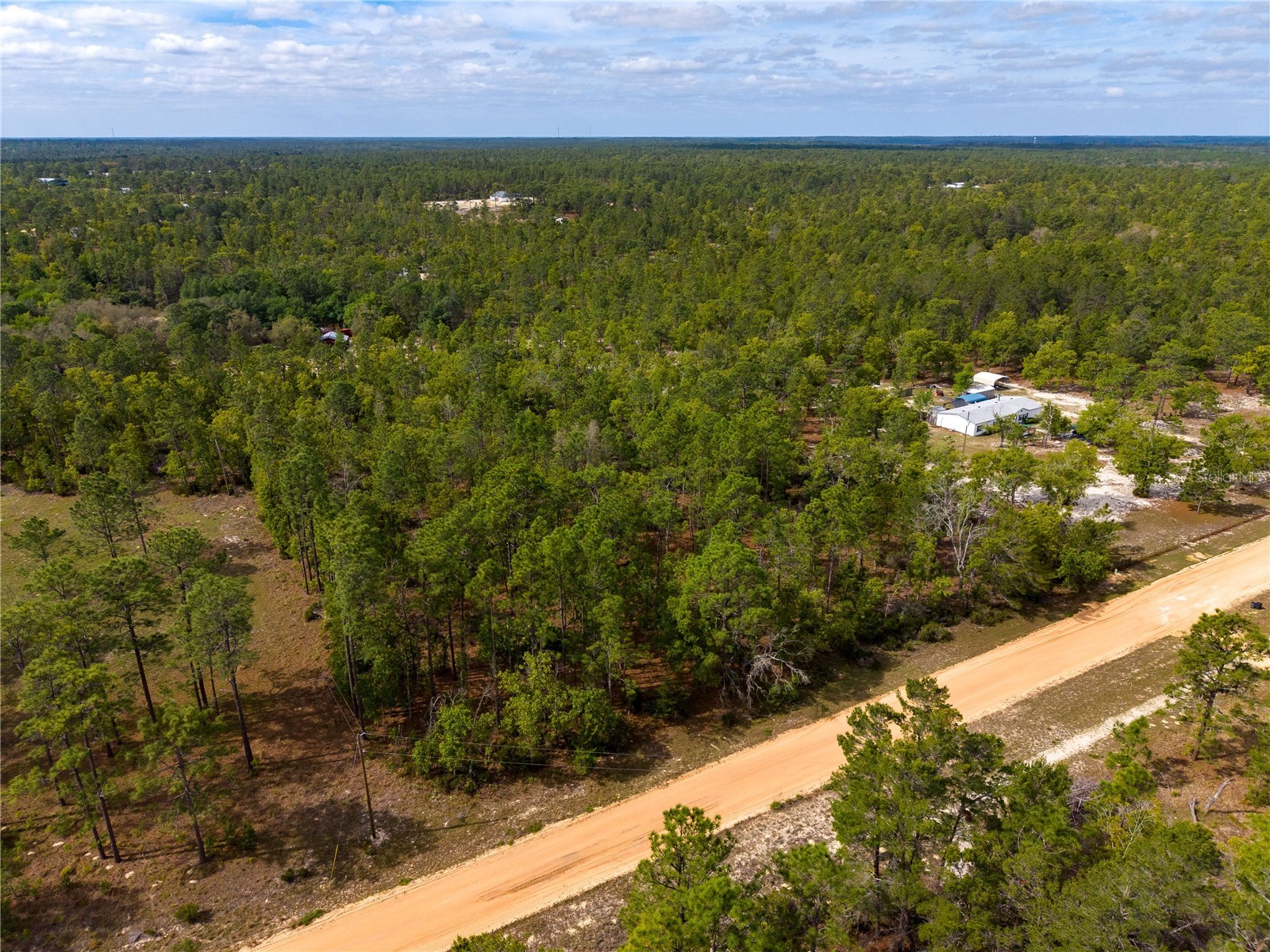 230 Melrose Landing Drive Hawthorne FL 32640 TB8499573 image15