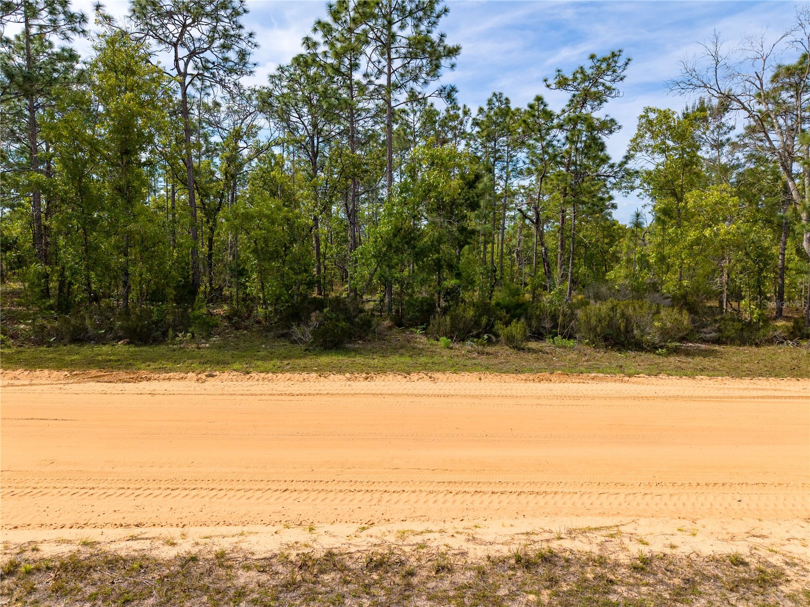 230 Melrose Landing Drive Hawthorne FL 32640 TB8499573 image16