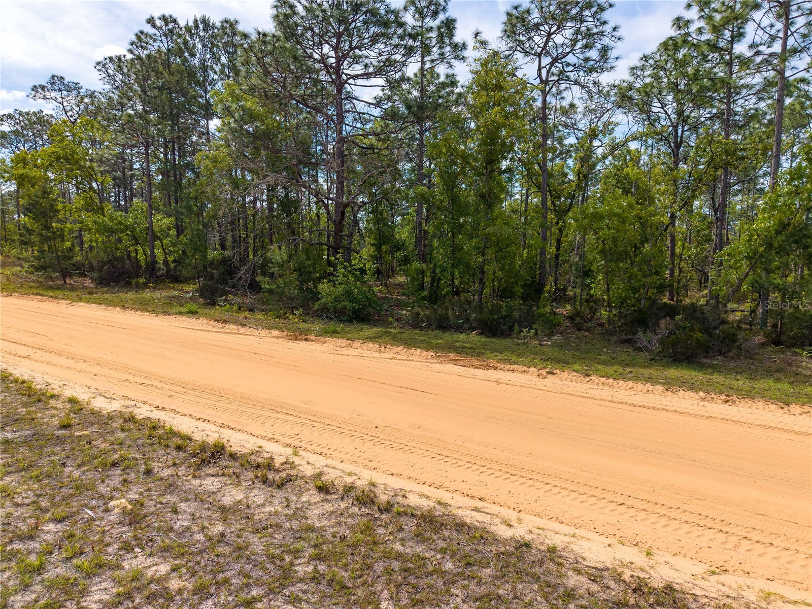 230 Melrose Landing Drive Hawthorne FL 32640 TB8499573 image17