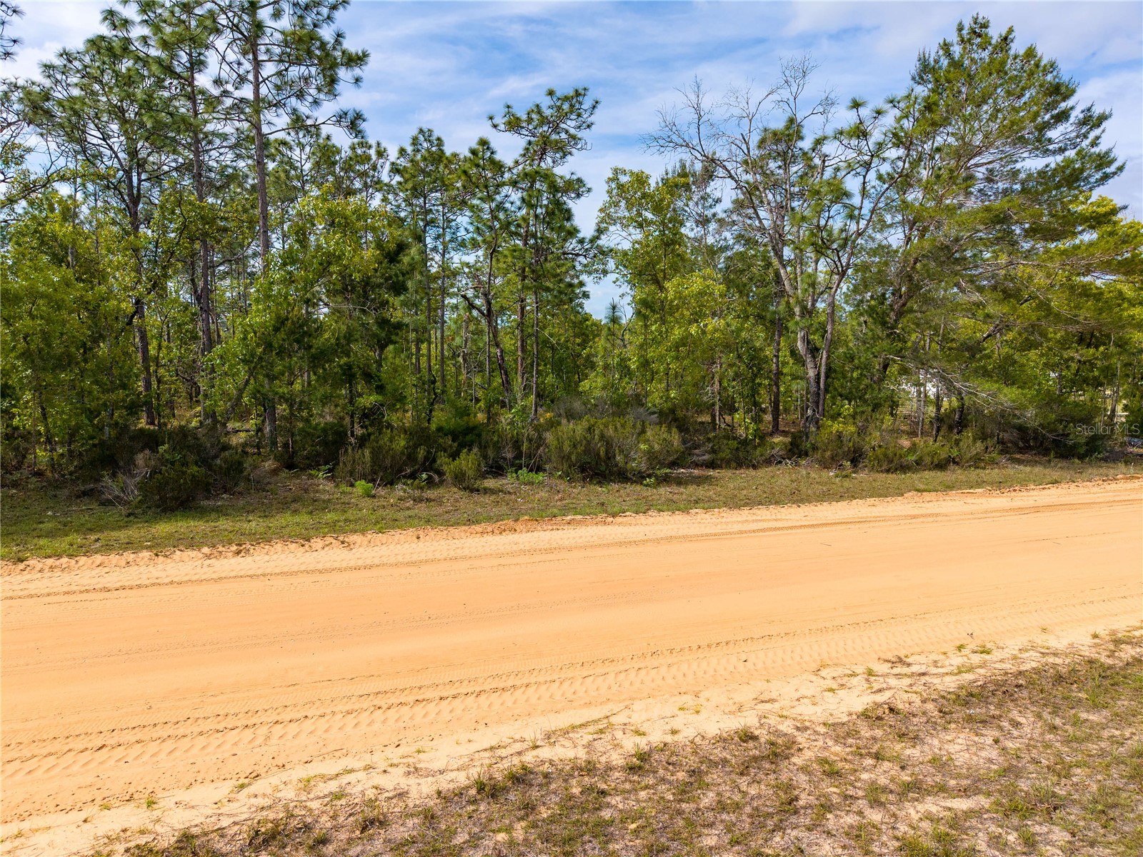 230 Melrose Landing Drive Hawthorne FL 32640 TB8499573 image18