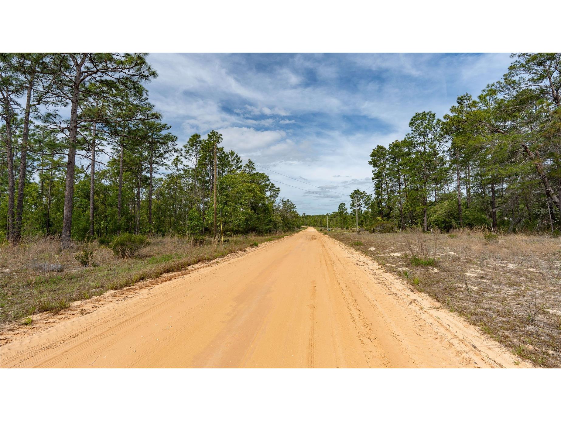 230 Melrose Landing Drive Hawthorne FL 32640 TB8499573 image19